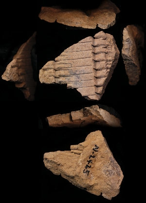N2425