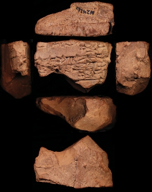 N2426
