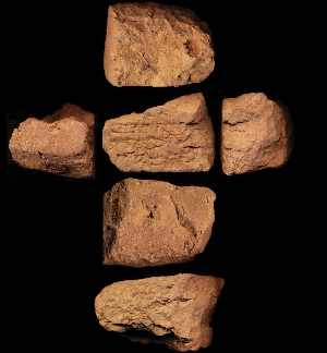 N2436