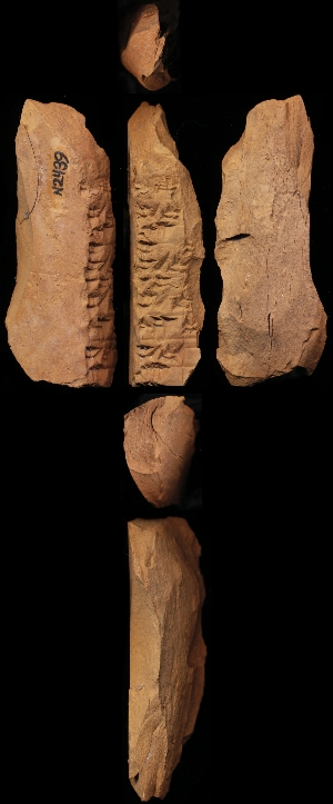 N2439