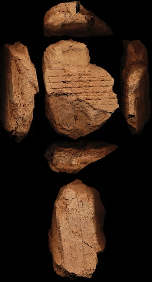 N2451