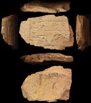 N2456