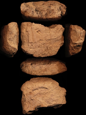 N2461