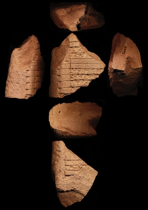 N2493