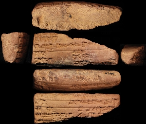 N2494