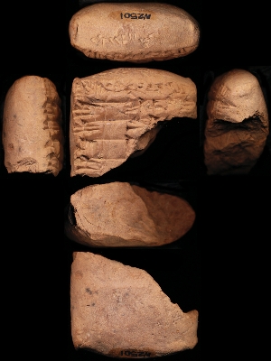 N2501