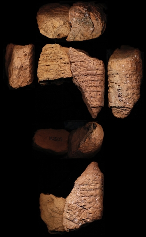 N2505