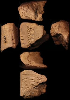 N2511