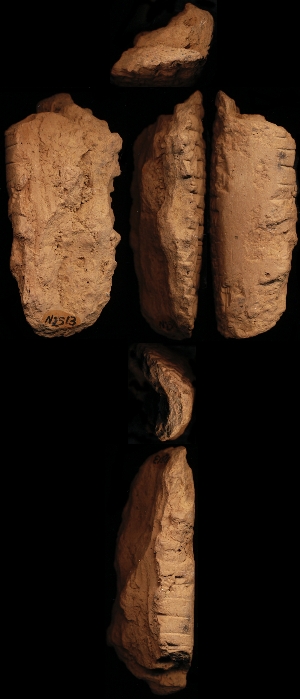 N2513