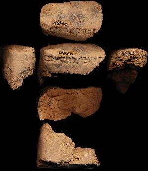 N2515