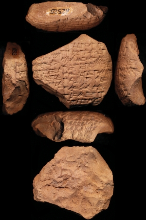 N2525