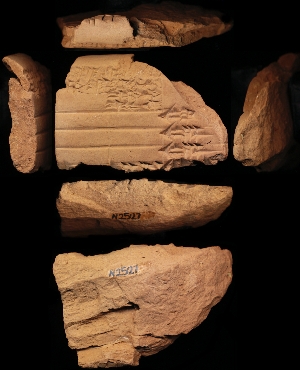 N2527