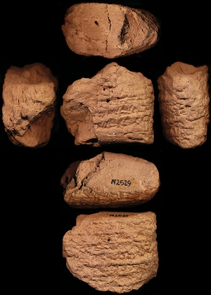 N2529