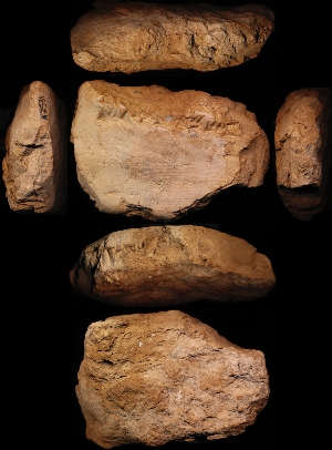 N2531
