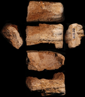 N2533