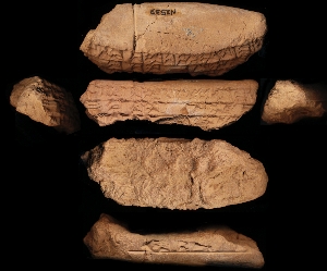 N2539