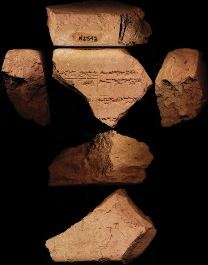 N2543