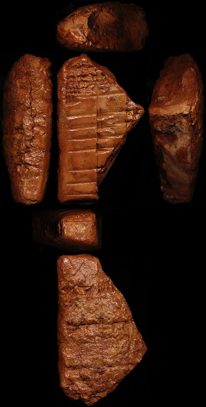 N2544