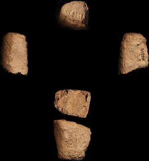 N2549