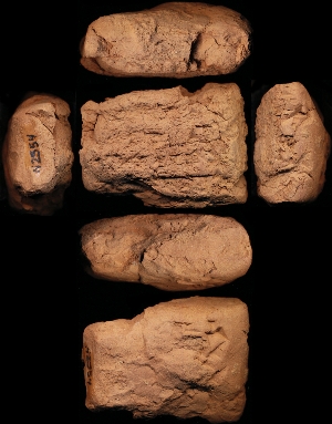 N2554
