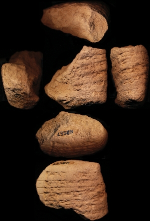 N2557