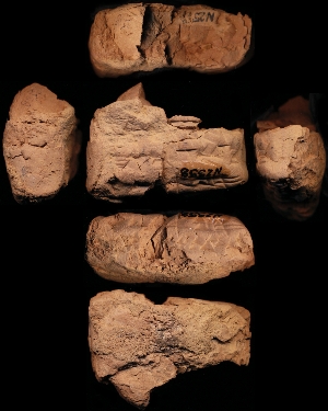 N2558