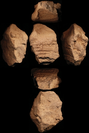 N2559