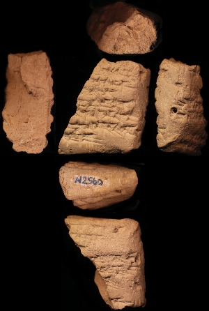 N2560