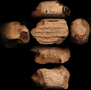 N2566