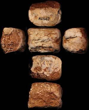 N2567