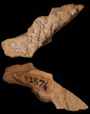 N2576