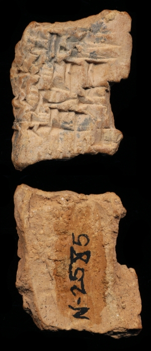 N2585