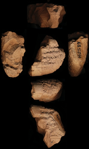 N2589
