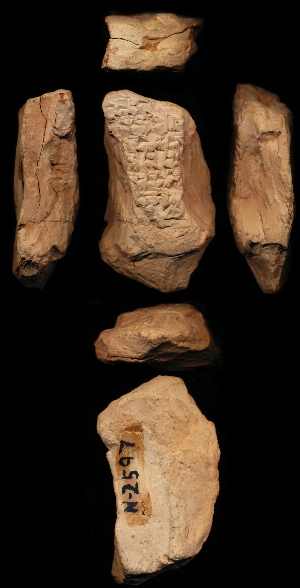 N2597