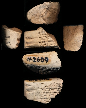 N2609