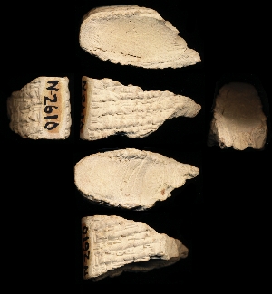 N2610