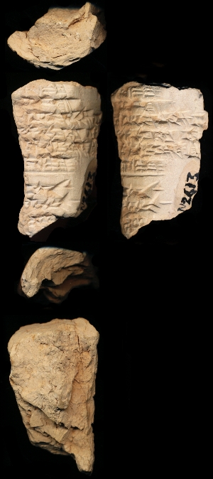 N2613