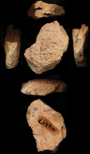 N2617
