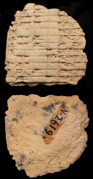 N2619