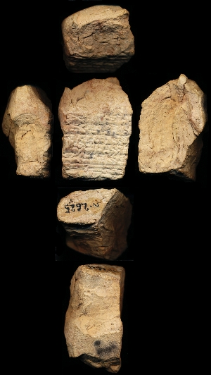 N2625