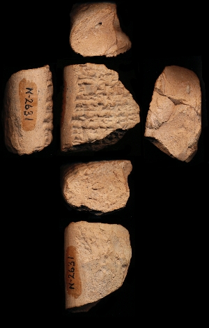 N2631