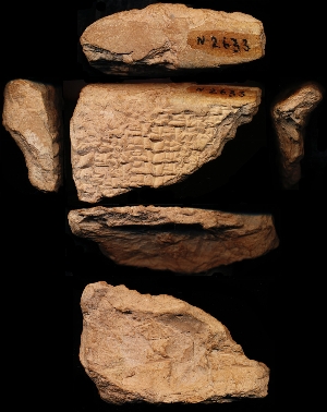 N2633