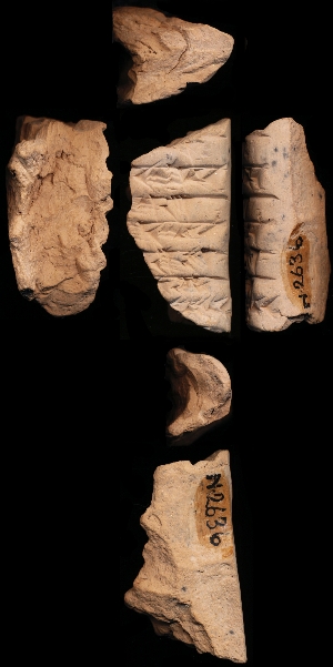 N2636