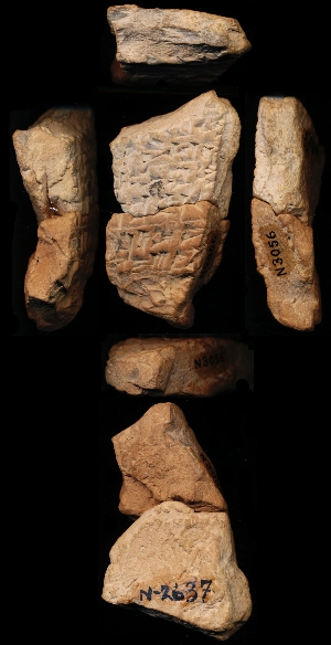 N2637