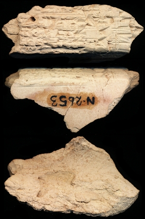 N2653