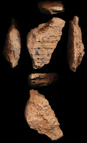 N2695