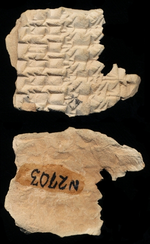 N2703