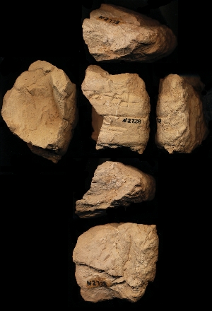 N2728
