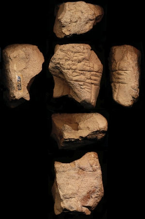 N2753