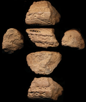 N2755